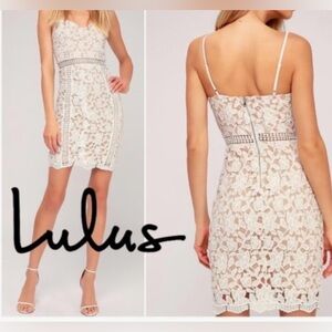 NWT Lulus  Dress XS Giovanni White  Lace overlay Sheath Dress Party Night out